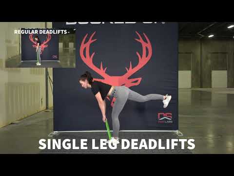 Full Body Home Workout – you just need booty bands
