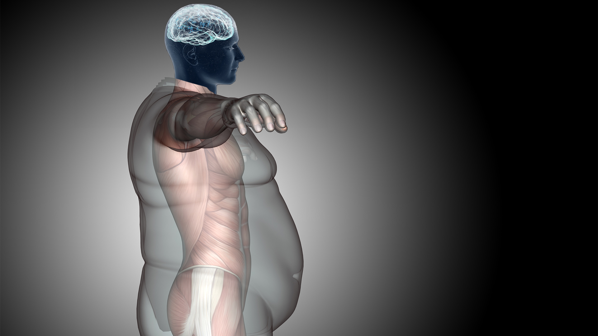 4 Benefits of Intermittent Fasting