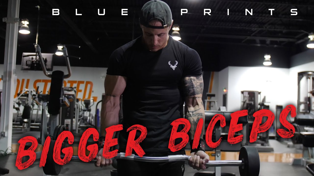 Secret Biceps Blueprint To Bigger Arms